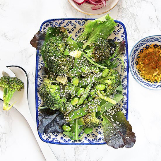 Broccoli Salad – Asian Twist