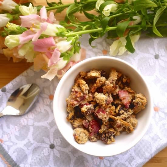 Paleo Strawberry Almond Granola