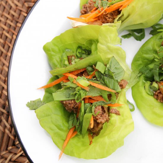 Thai Spiced Turkey Lettuce Wraps