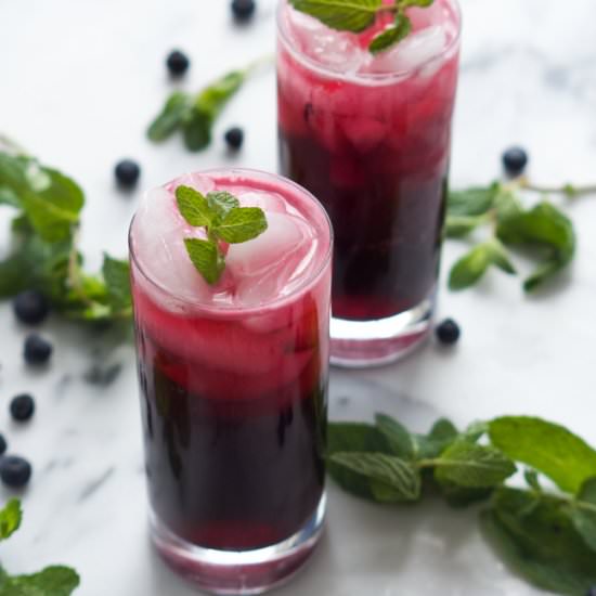 Skinny Sparkling Blueberry Mojito