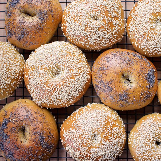 Sourdough Spelt Einkorn Bagels