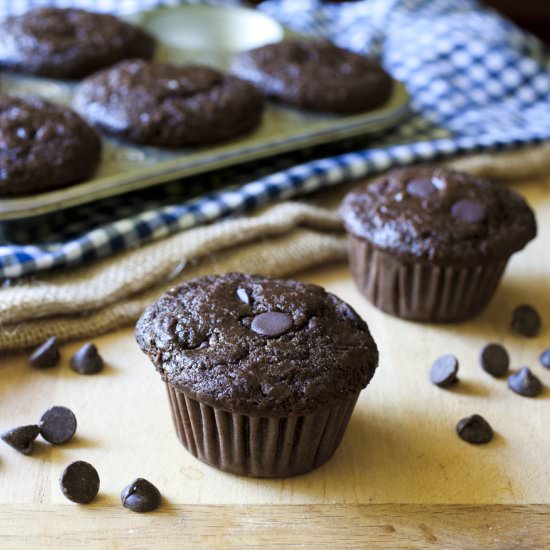 Chocolate Chip Buttermilk Muffins