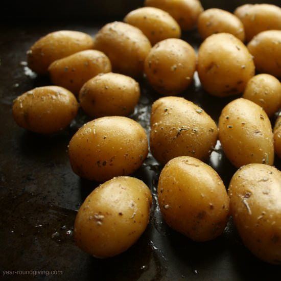 Buttered Herb Mini Gold Potatoes