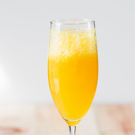 Grand Orange Mimosa