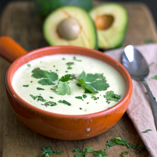 Avocado and Cilantro Cream Soup