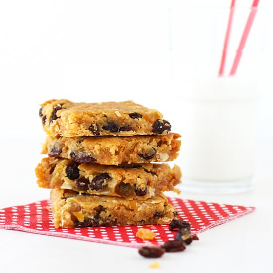 Spiced Fruit & Nut Bars