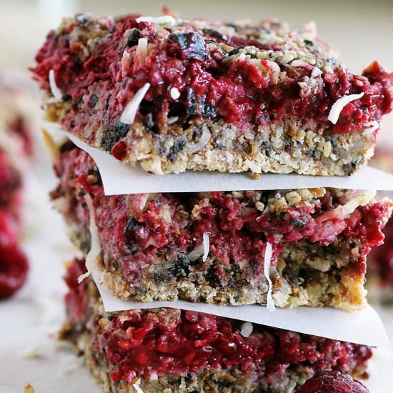 Raspberry Fig Bars