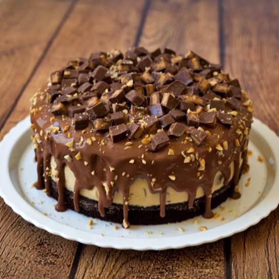 Peanut Butter Cheesecake Chocolate