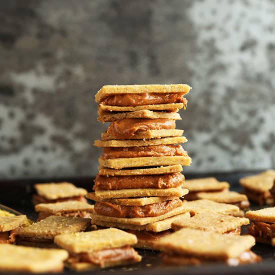 Vegan Peanut Butter Cheese Crackers