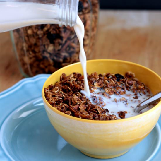 Homemade Blueberry Almond Granola