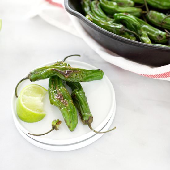Shishito Peppers