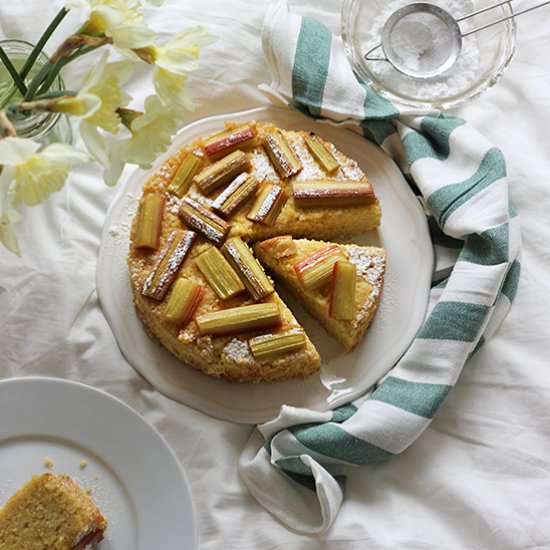 Millet rhubarb blodnies