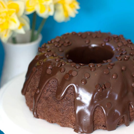 Double Chocolate Bundt Cake