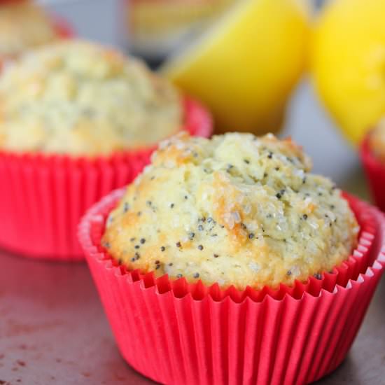 Lemon Poppy Seed Muffins