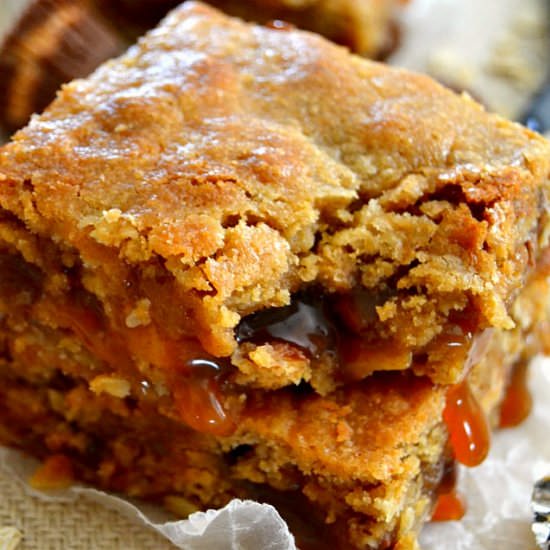 Peanut Butter Cup Carmelitas