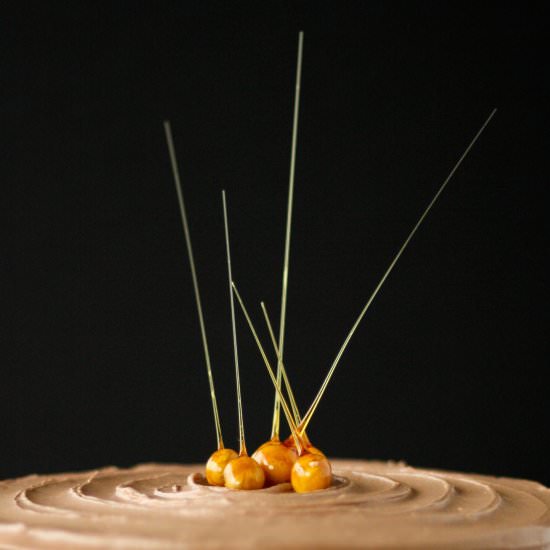 Candied Hazelnuts