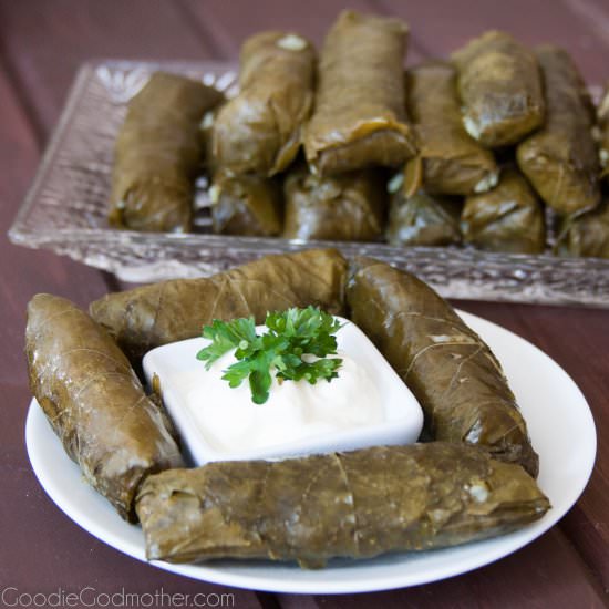 Stuffed Grape Leaves