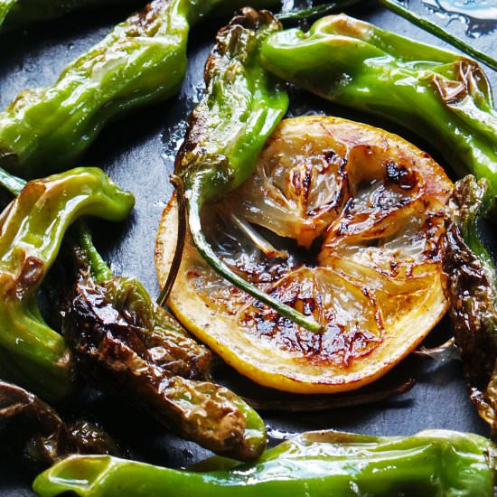 Blistered Shisito Peppers
