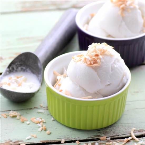 Vegan Gluten Free Coconut Ice Cream