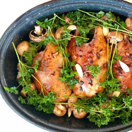 Willitts’ Wild Duck