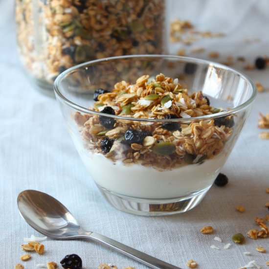 Blueberry Pumpkin Seed Granola