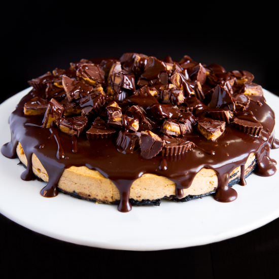 Peanut Butter Cup Cheesecake