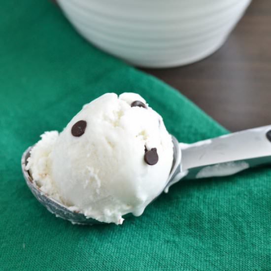 Homemade Vegan Mint Chip Ice Cream