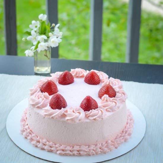 Strawberry Shortcake