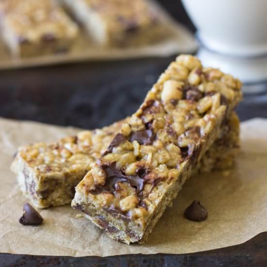 5 Ingredient No-Bake Protein Bars