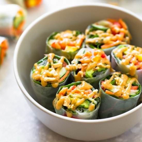 Thai Summer Rolls with Peanut Sauce
