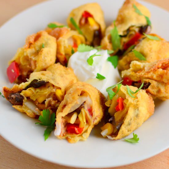 Southwest Wonton Bites