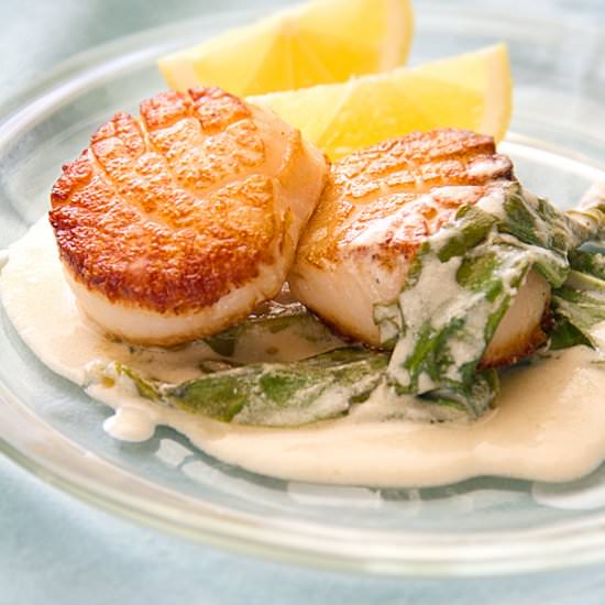 Seared Scallops and Sorrel Cream