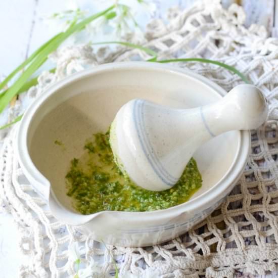 Wild Garlic Pesto