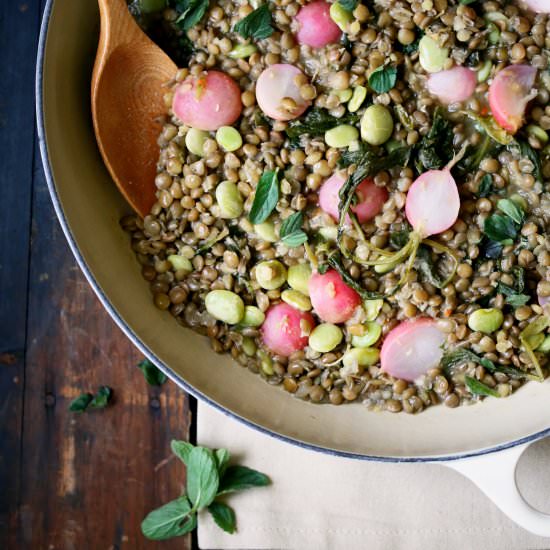 Lentils with Fava Beans & Radishes