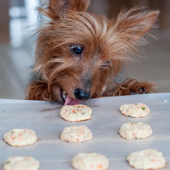 Gluten Free Doggie Treats