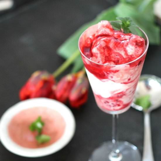 Raspberry Apricot Frozen Yogurt