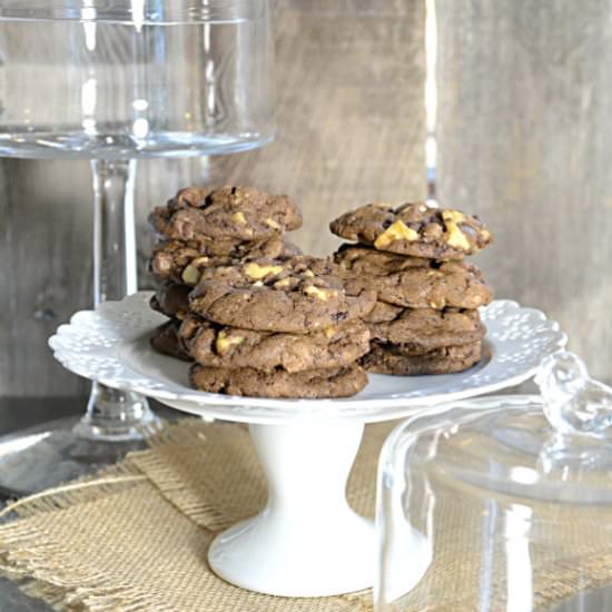Chocolate Chocolate Chip Cookies