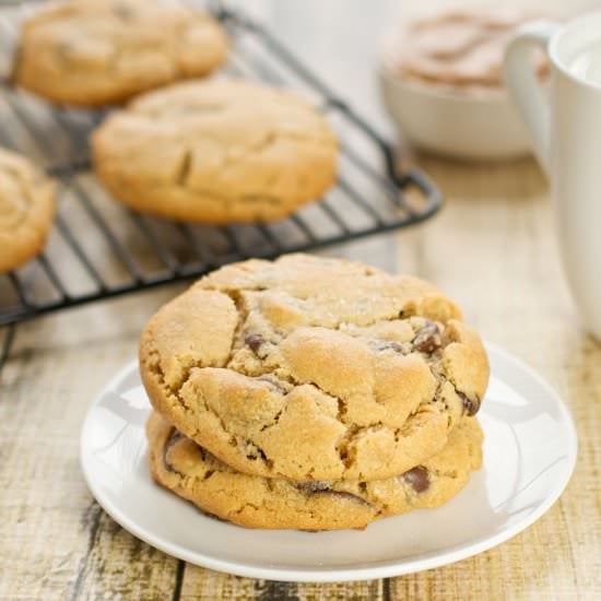 Peanut Butter Chocolate Chip Cookie