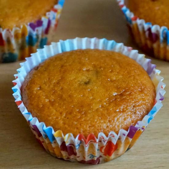Gluten-Free Chocolate Chip Muffins