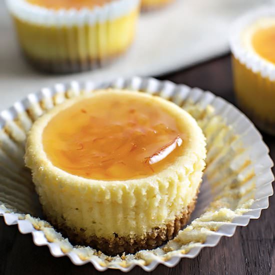 Orange Ricotta Cheesecake Cupcakes