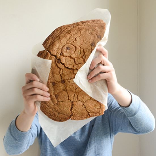 Giant Chocolate Chip Cookie