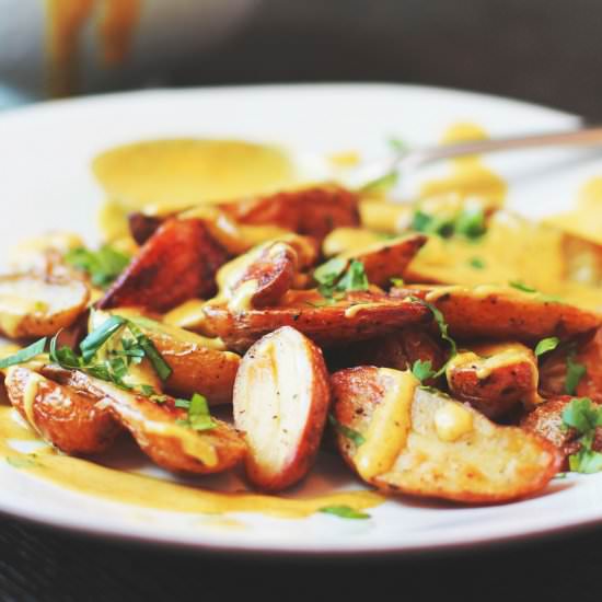 The Best Curry Fries