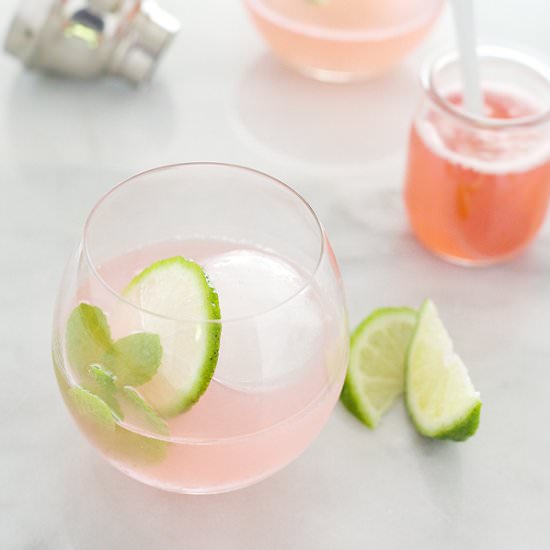 Rhubarb Gimlet