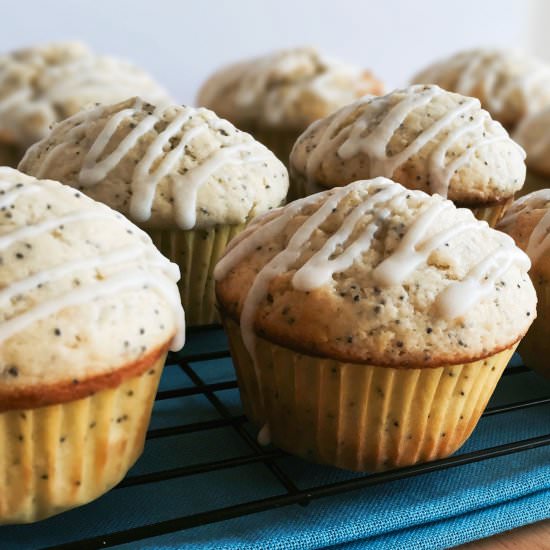 Lemon Poppy Seed Muffins