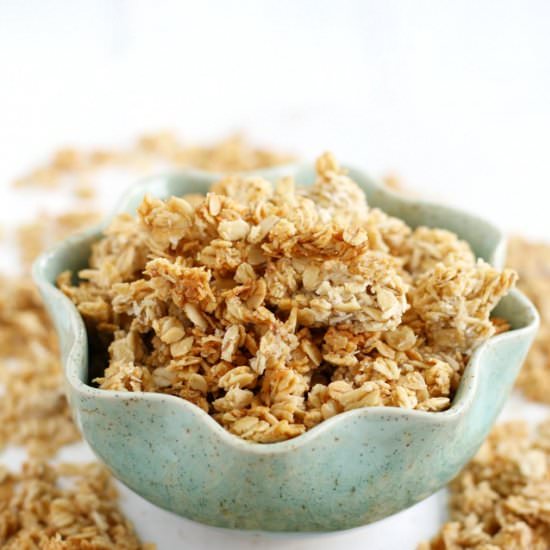 Vegan Coconut Banana Granola