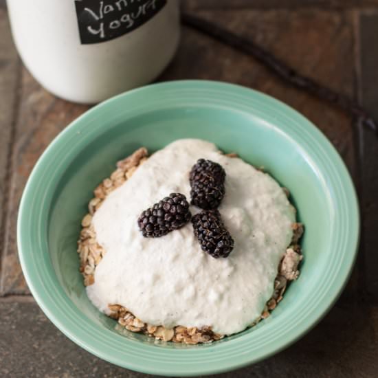 Vanilla Yogurt from Scratch