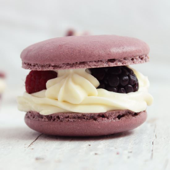 Berry french macarons