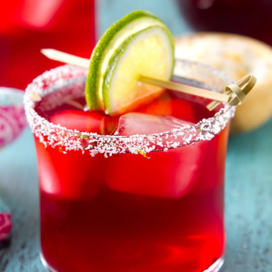 Hibiscus Margarita