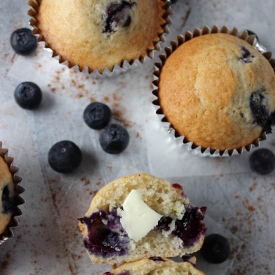 Fresh Blueberry Muffins