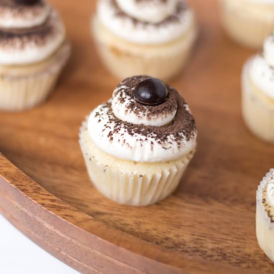 Mini Tiramisu Cupcakes